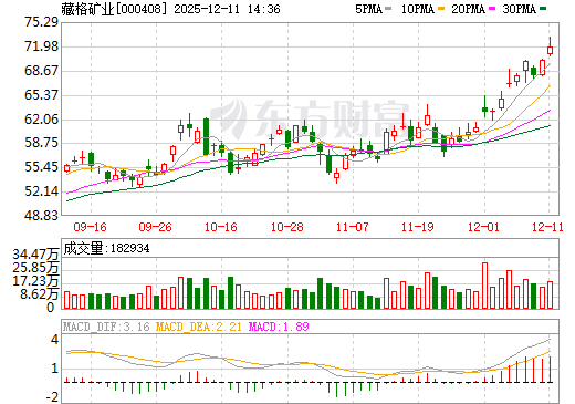 藏格矿业日K线图