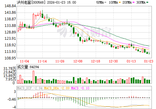泸州老窖日K线图