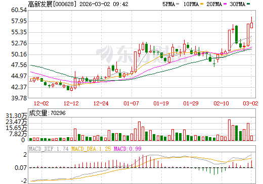 高新发展日K线图