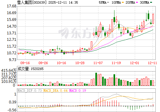 雪人集团日K线图