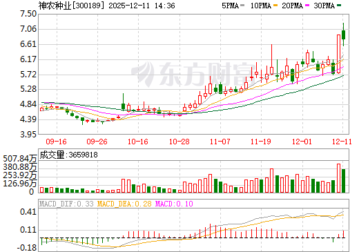 神农种业日K线图