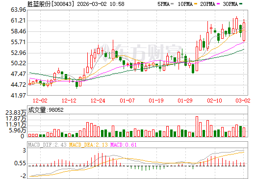 胜蓝股份日K线图