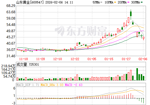 山东黄金日K线图