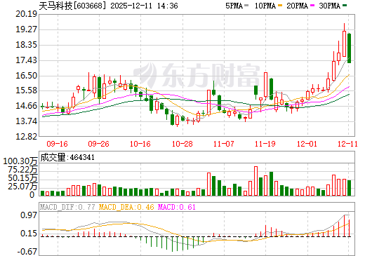 天马科技日K线图