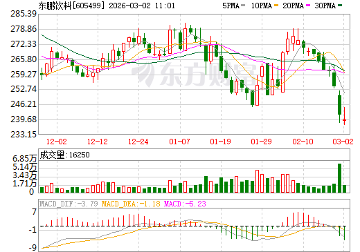 东鹏饮料日K线图