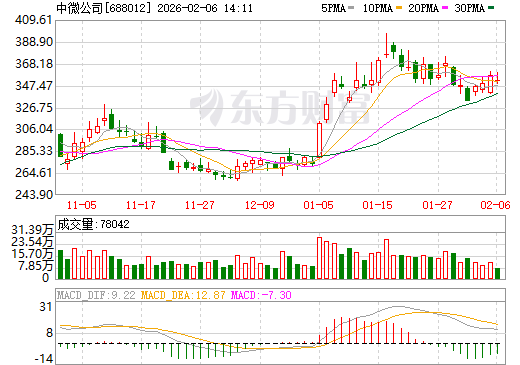 中微公司日K线图